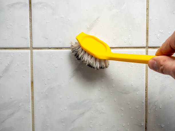 Best Water Damage Restoration  in West Hollywood, CA