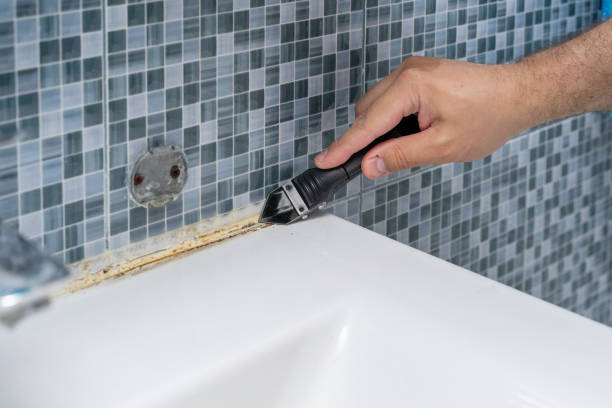 Best Fast Mold Removal  in West Hollywood, CA